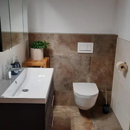 Apartament Haus Saro Hopfgarten im Brixental